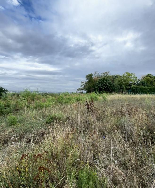 Terrain - 770 m²
