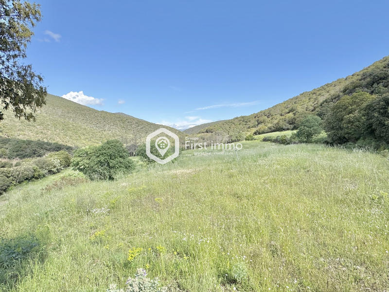 Maison - 75 m² - 5 pièces