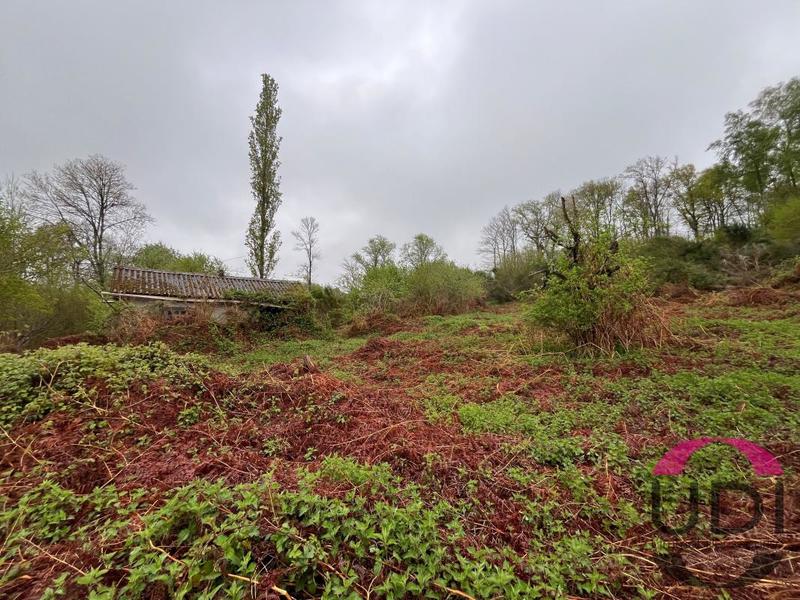 Terrain - 31 689 m²