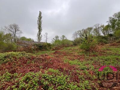 Terrain - 31 689 m²