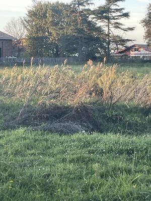 Terrain constructible - 738 m²