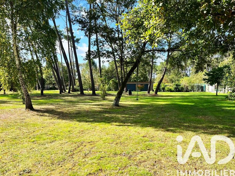 Maison de maîtres - 172 m² - 6 pièces