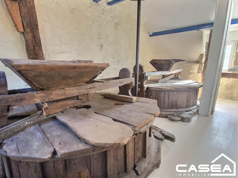 Maison ancienne - 300 m² - 15 pièces