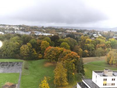 Appartement ancien - 80 m² - 3 pièces