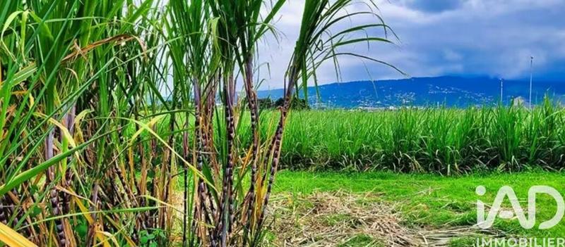 Terrain agricole - 11 990 m²