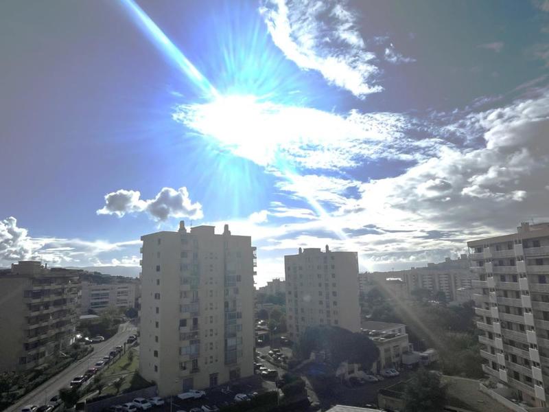 Studio - 26 m² - 1 pièce