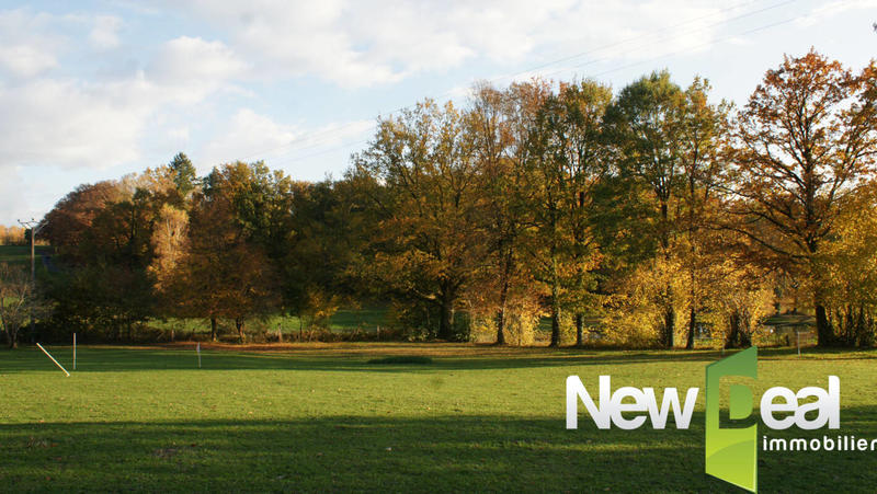 Terrain constructible - 3 169 m²