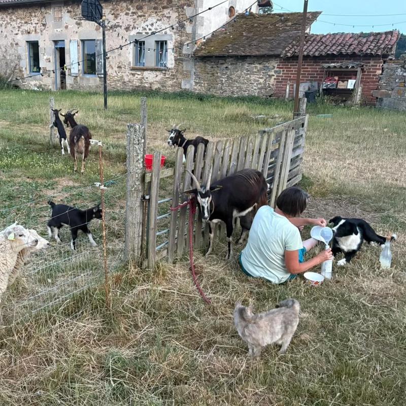 Sophro-duo à la Ferme avec les Sabots de Laine