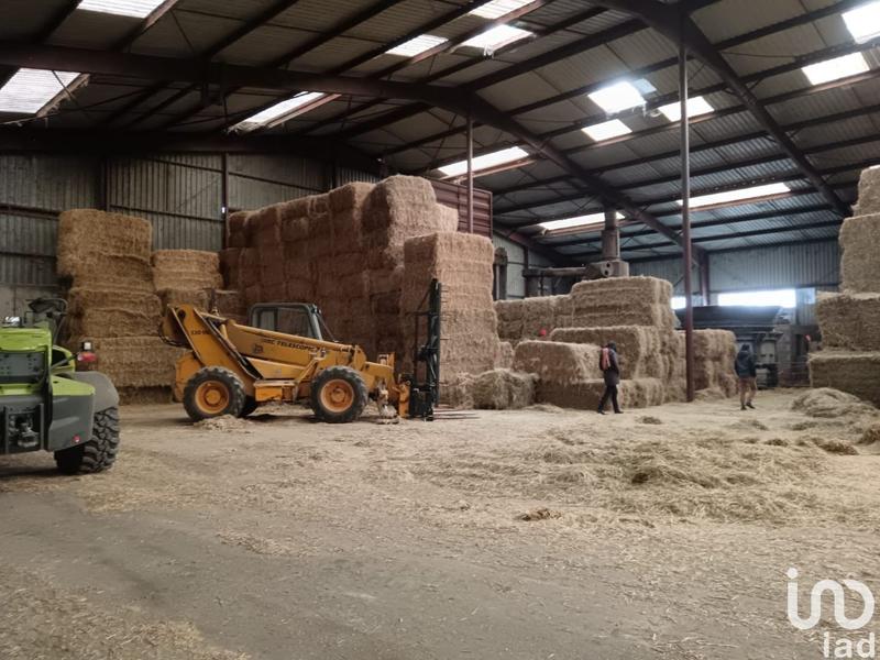 Local commercial - 2 900 m²