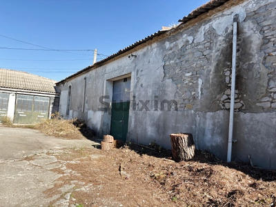 Local commercial - 313 m²