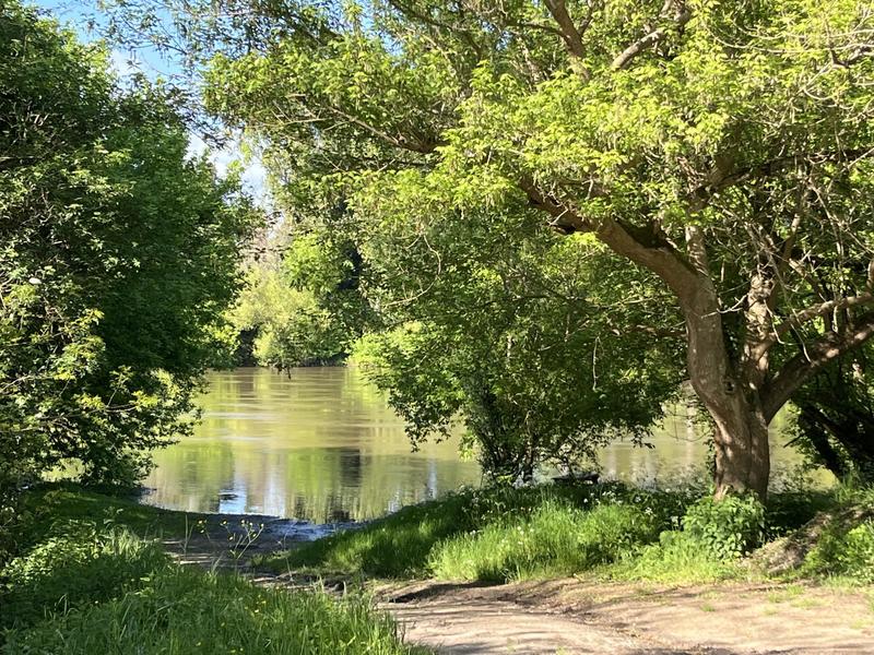 Maison traditionnelle - 280 m² - 8 pièces