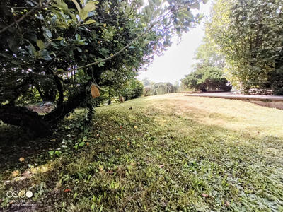 Villa - 240 m² - 9 pièces