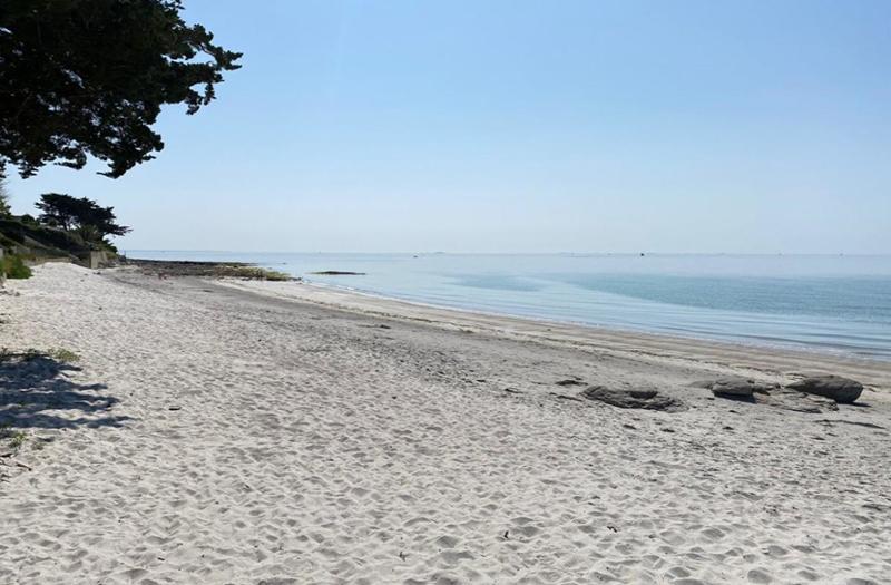 Terrain constructible - 1 130 m²