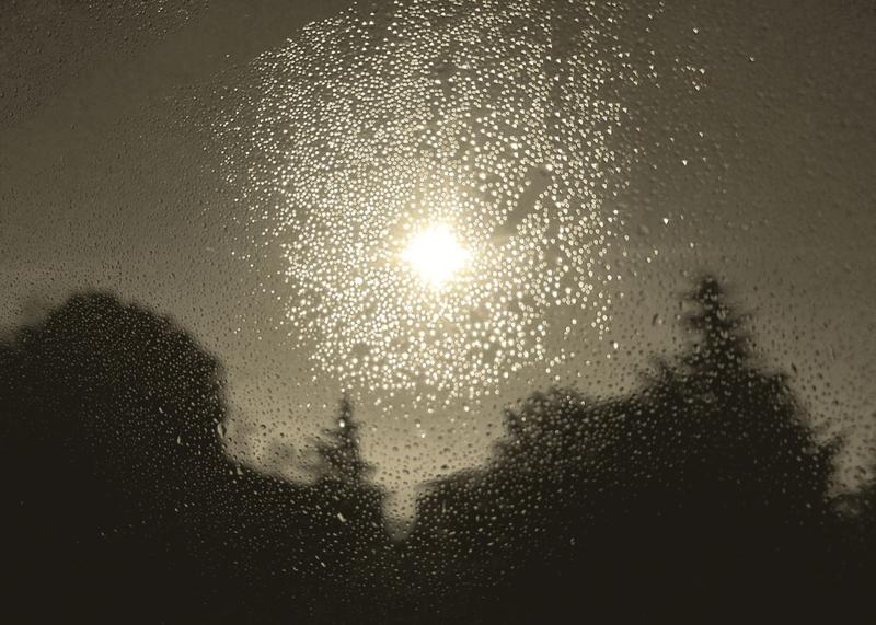 Regards croisés - Portugal / Provence