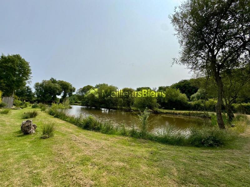 Étang - 4 100 m²