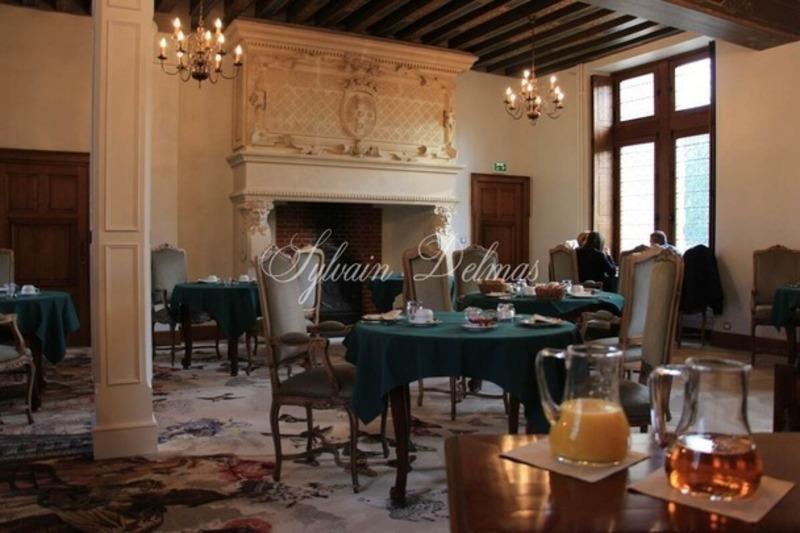 Château - 2 000 m² - 50 pièces