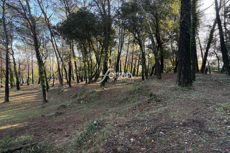 Terrain - 7 100 m²