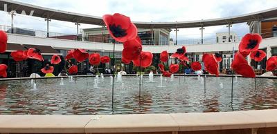 Fonds de commerce - Magasins - 65 m²