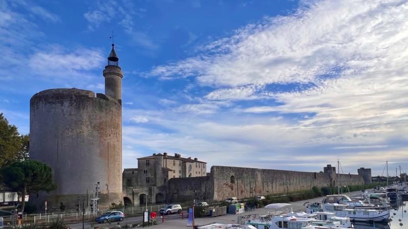 Bureau - 223 m² - 3 pièces