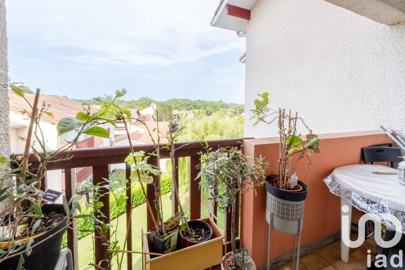 Studio - 38 m² - 1 pièce