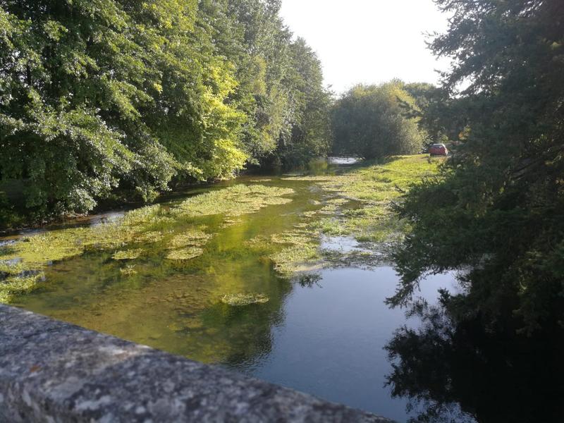 Maison - 245 m² - 8 pièces