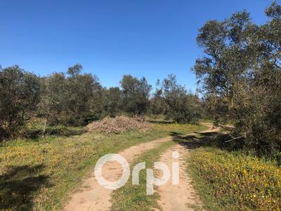 Terrain agricole - 5 800 m²