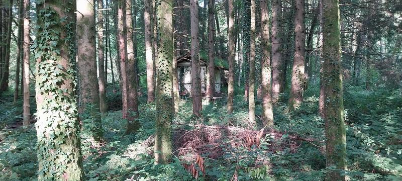 Terrain de loisirs - 3 045 m²