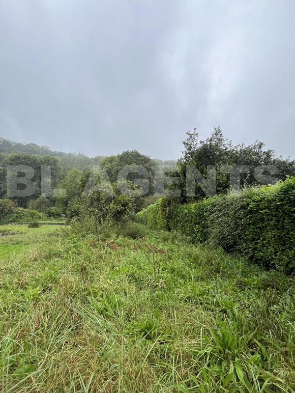 Terrain - 1 062 m²