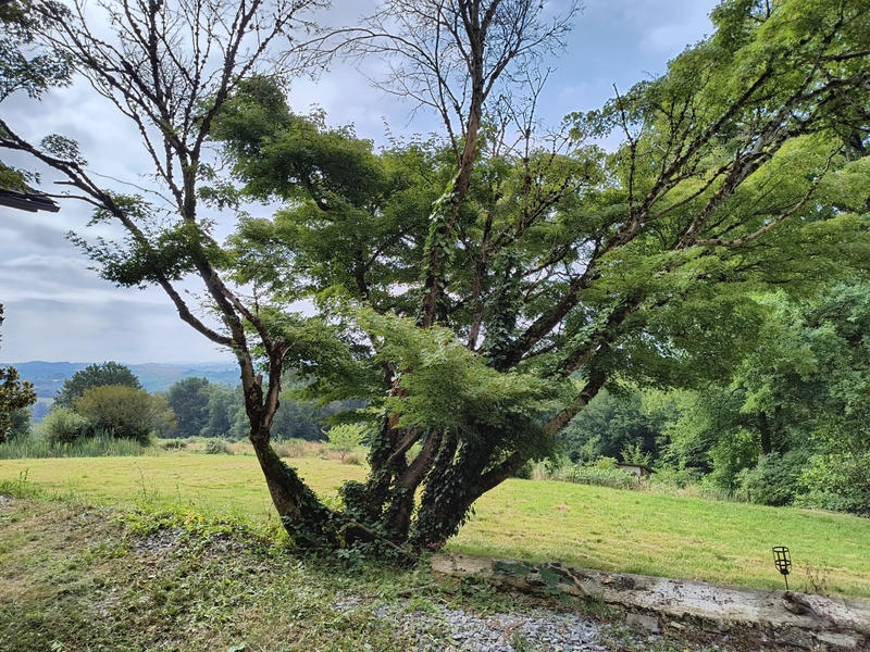 Maison - 156 m² - 6 pièces