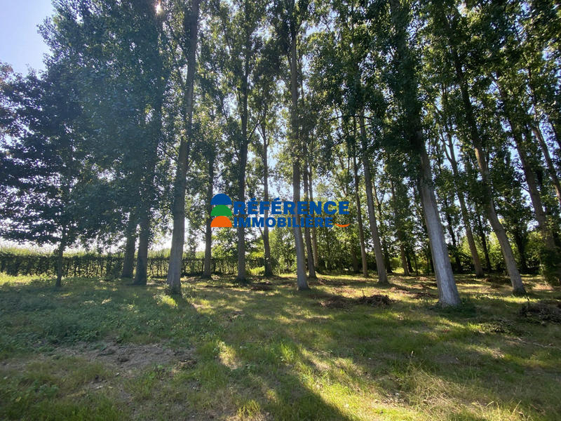 Maison - 199 m² - 10 pièces