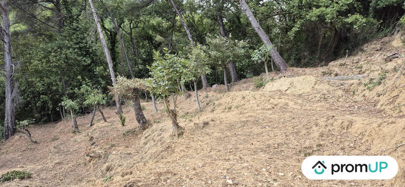 Terrain de loisirs - 2 048 m²