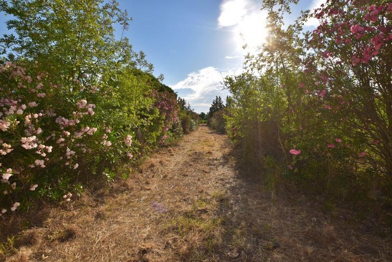 Mazet - 32 m² - 2 pièces