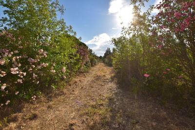 Mazet - 32 m² - 2 pièces