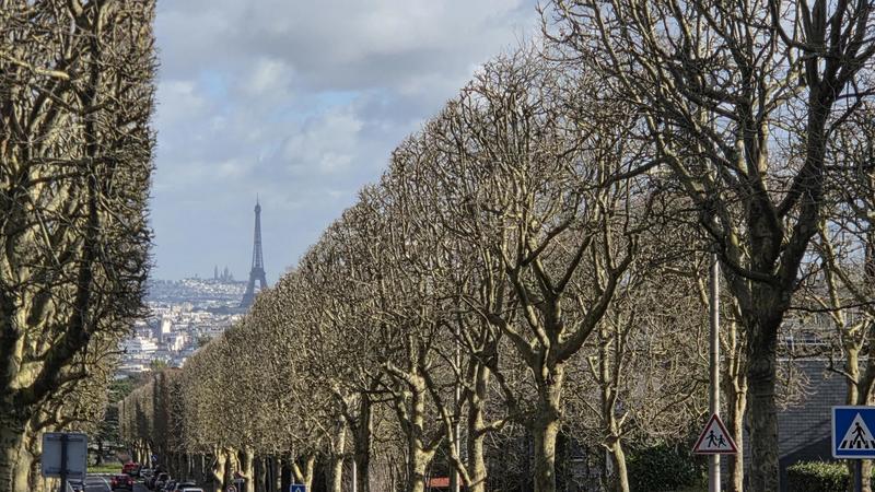 Appartement - 14 m² - 1 pièce