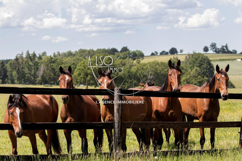 Ferme - 226 m² - 5 pièces