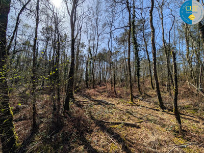 Terrain - 24 900 m²