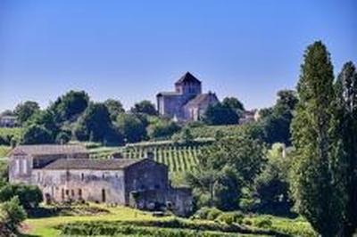 Propriété viticole - 200 m² - 7 pièces