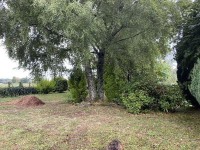 Maison ancienne - 90 m² - 5 pièces