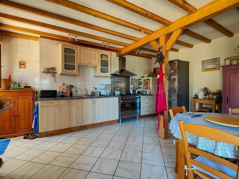 Maison en pierre - 287 m² - 9 pièces