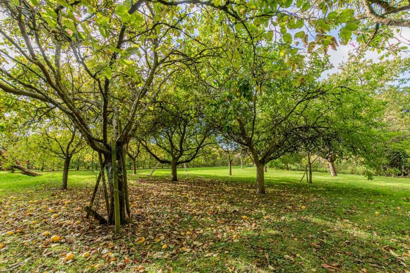 Maison - 190 m² - 7 pièces