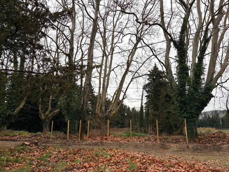 Terrain de loisirs - 1 682 m²