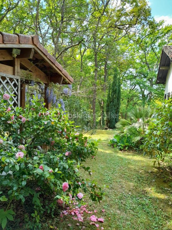 Maison - 133 m² - 6 pièces