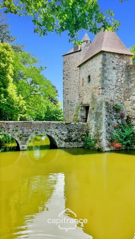 Château - 350 m² - 5 pièces