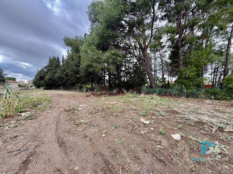 Terrain - 382 m²