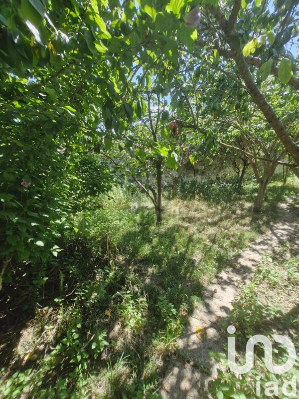 Terrain agricole - 1 077 m²