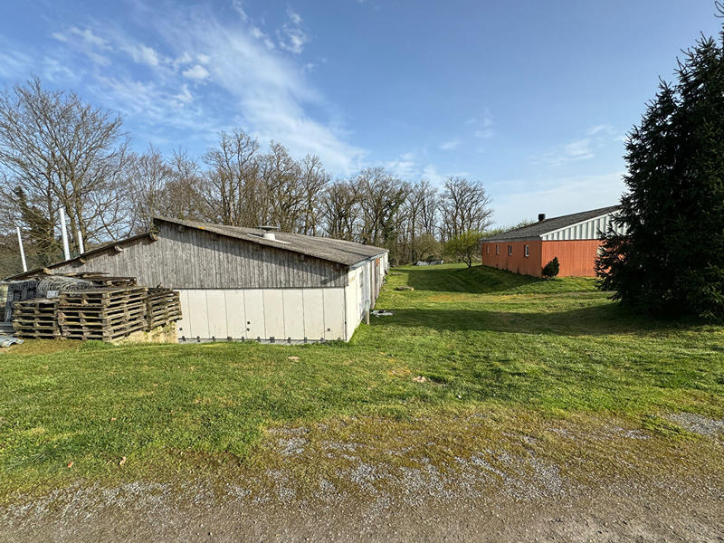 Local d'activité / Entrepôt - 4 518 m²