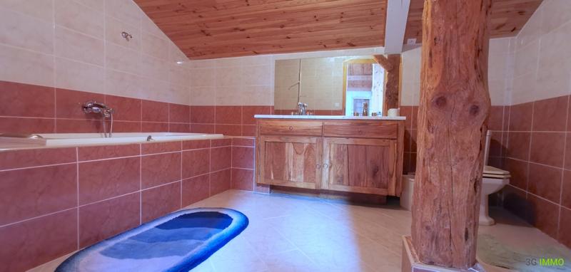 Maison en pierre - 441 m² - 13 pièces