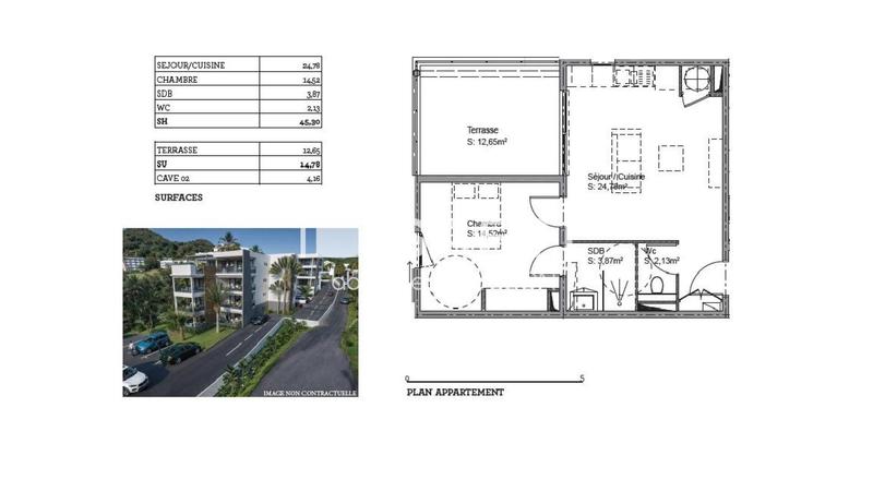 Appartement - 45 m² - 2 pièces