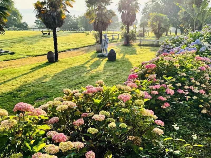 Maison - 365 m² - 8 pièces