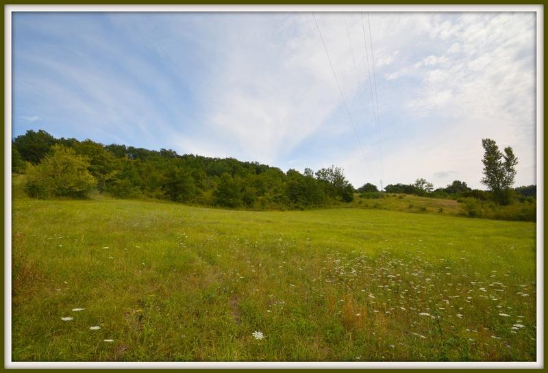 Terrain constructible - 1 313 m²